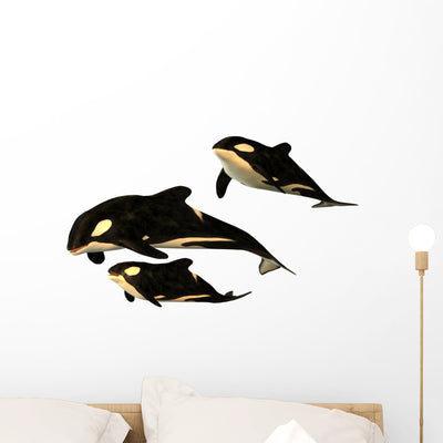 Killer Whale Wall Decal shown on a wall