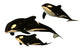 Killer Whale Wall Decal