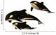 Killer Whale Wall Decal