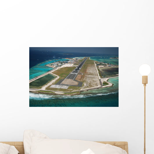 Male 'Airport Wall Mural