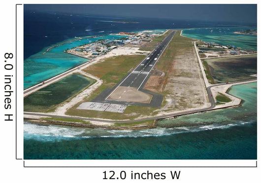 Male 'Airport Wall Mural