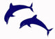 Jumping Dolphins Wall Decal