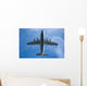 Airplane Wall Mural