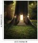 Enchanted forest. 