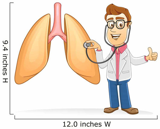 Doctor check lung using a stethoscope 