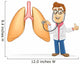 Doctor check lung using a stethoscope 