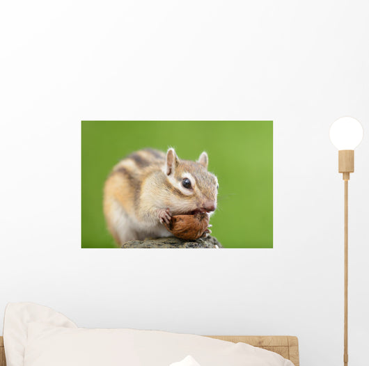 Chipmunk with Acorn Wall Decal Design 1