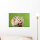 Chipmunk with Acorn Wall Decal Design 1
