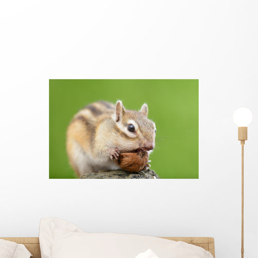 Chipmunk with Acorn Wall Decal Design 1