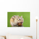 Chipmunk with Acorn Wall Decal Design 1