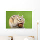 Chipmunk with Acorn Wall Decal Design 1