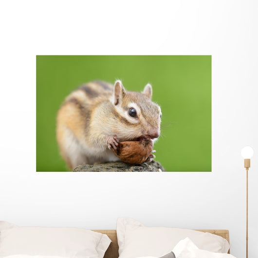 Chipmunk with Acorn Wall Decal Design 1