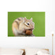 Chipmunk with Acorn Wall Decal Design 1