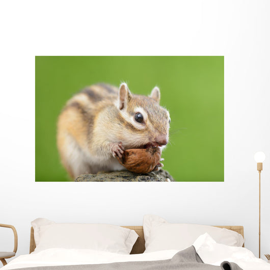 Chipmunk with Acorn Wall Decal Design 1