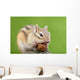 Chipmunk with Acorn Wall Decal Design 1