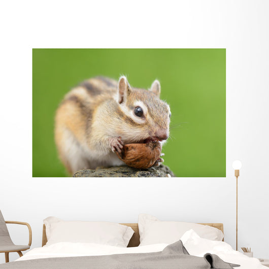 Chipmunk with Acorn Wall Decal Design 1