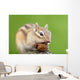 Chipmunk with Acorn Wall Decal Design 1