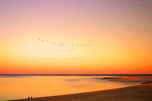 Cape Cod Wall Decal
