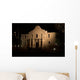 The Alamo at Night Wall Mural