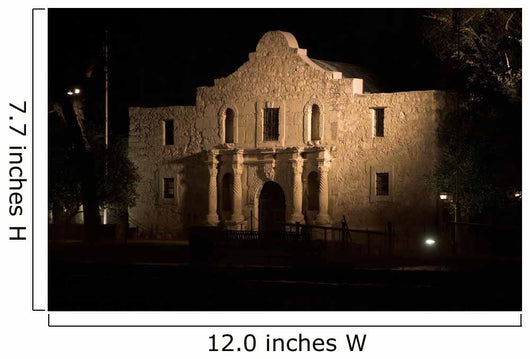 The Alamo at Night Wall Mural