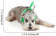 Cute Miniature Schnauzer Wall Decal