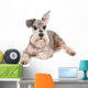 Cute miniature schnauzer Wall Decal