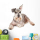Cute miniature schnauzer Wall Decal