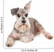 Cute miniature schnauzer Wall Decal