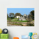 Vineyard and trulli near Cisternino (Italy) 