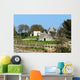 Vineyard and trulli near Cisternino (Italy) 
