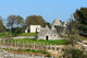 Vineyard and trulli near Cisternino (Italy) 