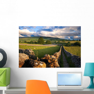 Footpath Wharfedale Yorkshire Dales Wall Mural shown on a wall