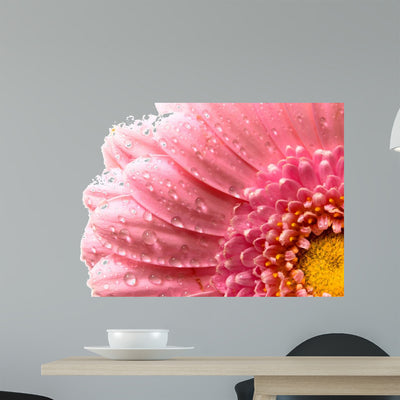 Pink Flower Petals shown on a wall