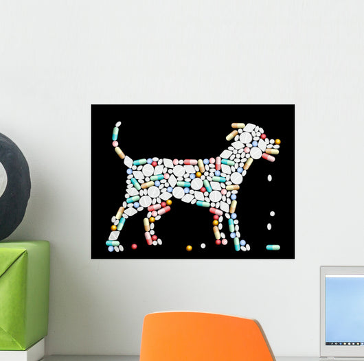 Tablets Pills Dog Wall Decal