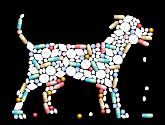 Tablets Pills Dog Wall Decal