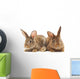 Rabbits Wall Decal