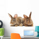 Rabbits Wall Decal