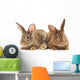 Rabbits Wall Decal