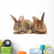 Rabbits Wall Decal