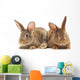 Rabbits Wall Decal