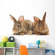 Rabbits Wall Decal