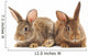 Rabbits Wall Decal