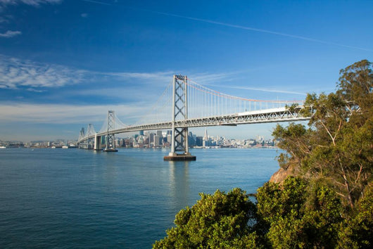 San Francisco City Panorama and Bay Bridge Wall Mural