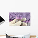 researcher with rubber glove sorts research test tubes Wall Mural