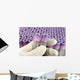researcher with rubber glove sorts research test tubes Wall Mural