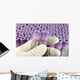 researcher with rubber glove sorts research test tubes Wall Mural