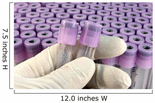 researcher with rubber glove sorts research test tubes Wall Mural