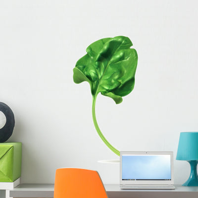Fresh Green Leaf Spinach Wall Decal shown on a wall