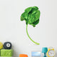 Fresh green leaf spinach, vector illustration Wall Decal
