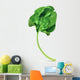 Fresh green leaf spinach, vector illustration Wall Decal